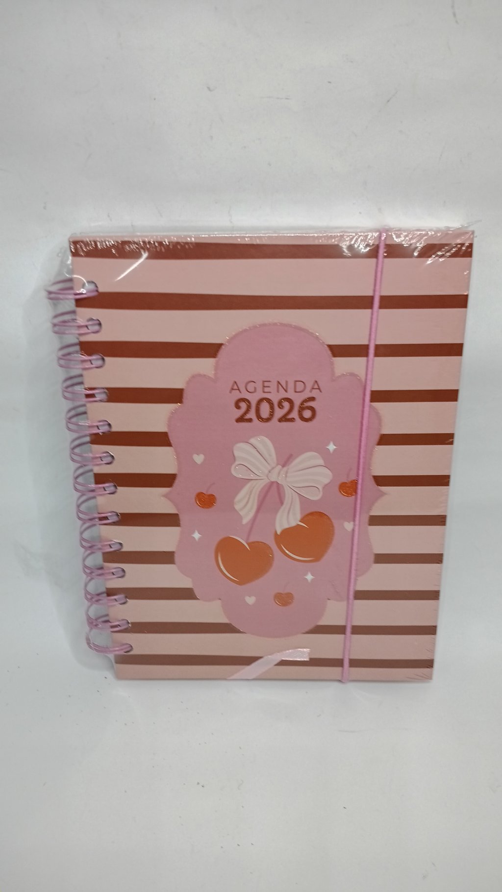 Agenda 2026 RMT5698 13x18cm