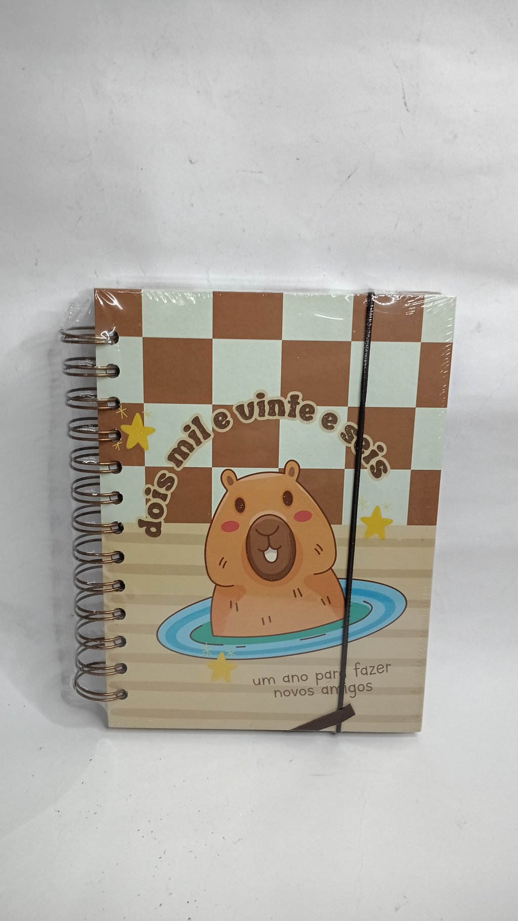 Agenda 2026 RMT5693 11x15cm