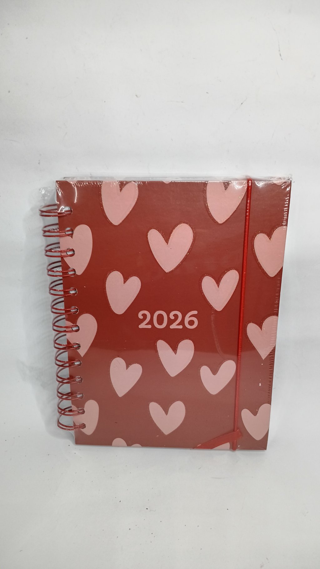 Agenda 2026 RMT5699 11x15cm