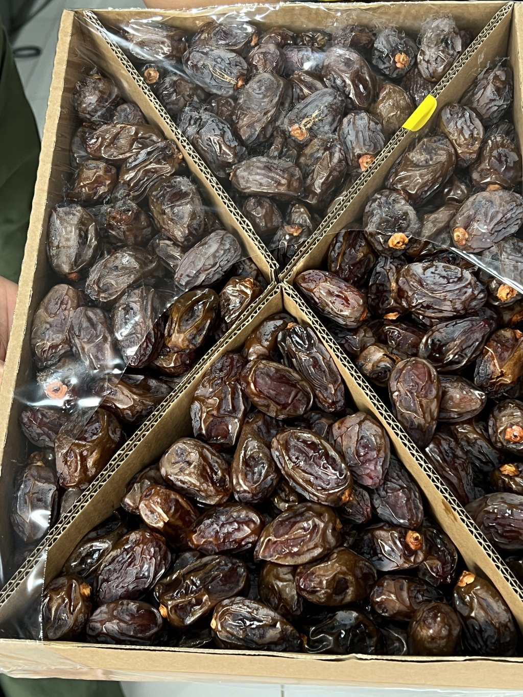 TAMARA JUMBO 100 Gr 