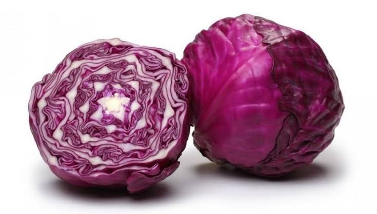 Repolho roxo 