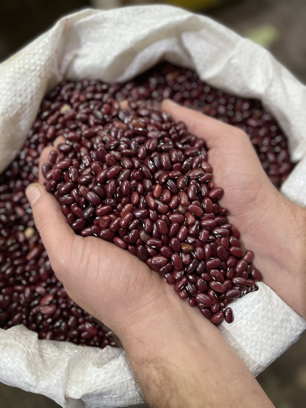 Feijão vermelho da roça