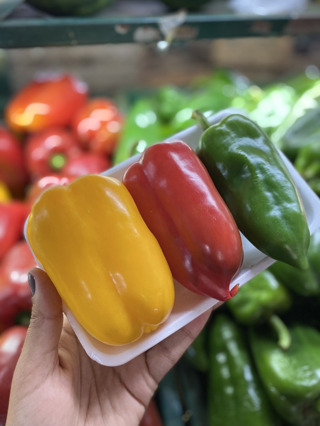 Pimentão colorido bandeja