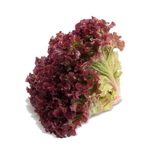 Alface roxa