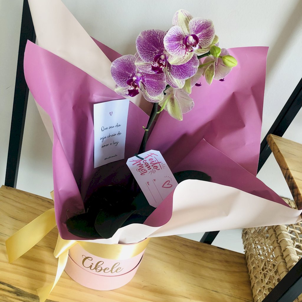 Box com Orquídea 