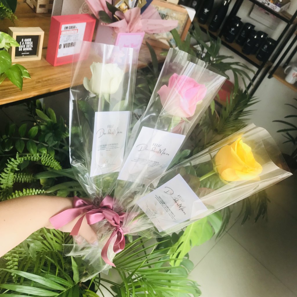 Solitário Colorido Unidade