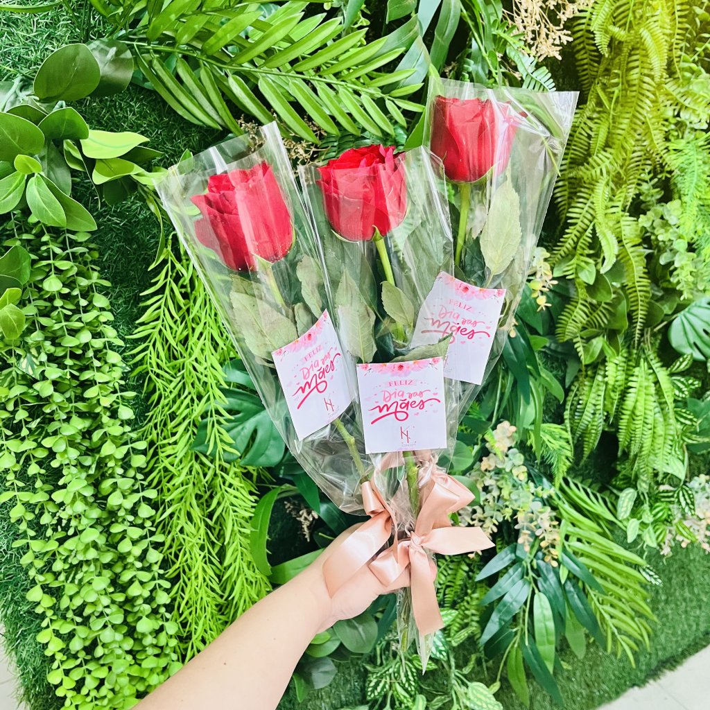 Solitario Vermelho sem Folhagem