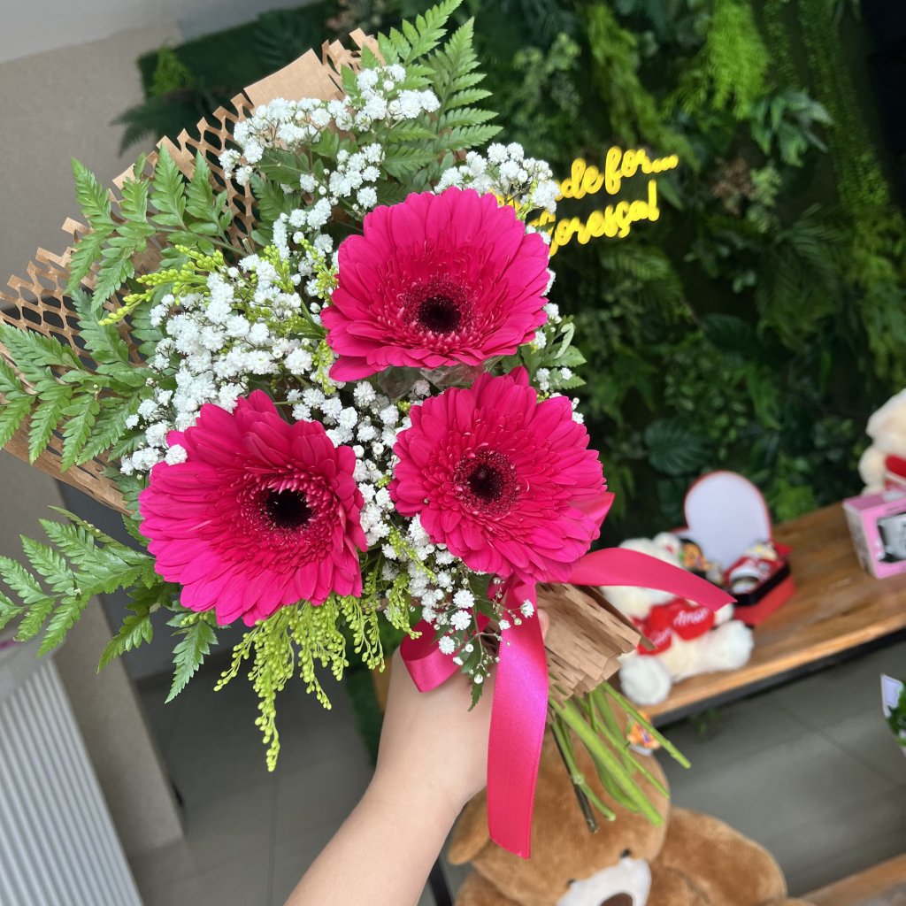 Leque Gerberas 