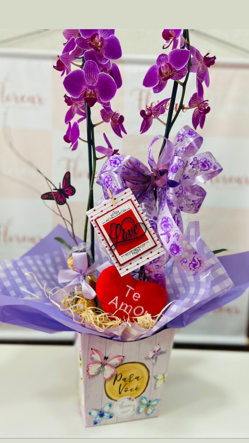 Orquídea 