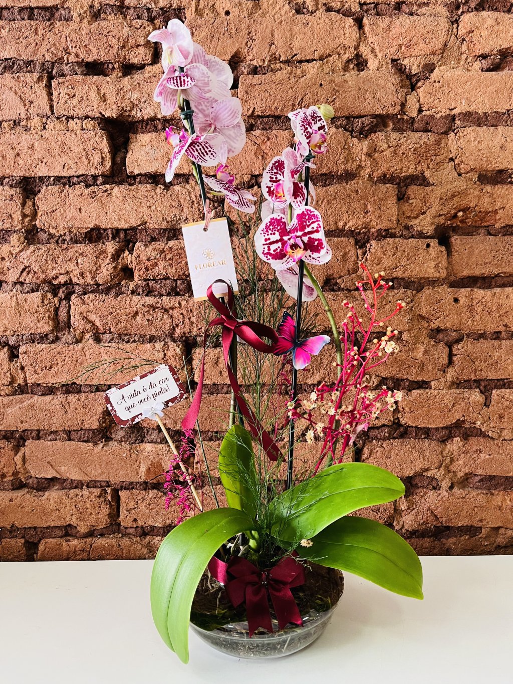 Orquídea 2 hastes 