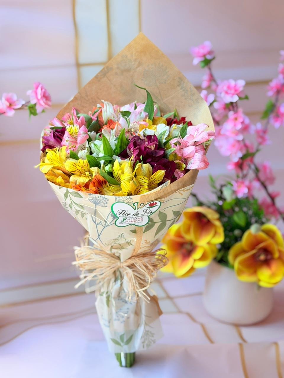 Mimo de Astromélias Coloridas