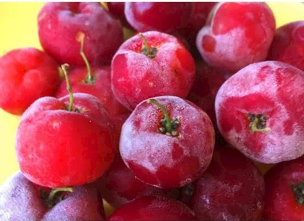 ACEROLA CONGELADA FRUT POLPAS 1KG