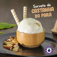 SORVETE DE CASTANHA DO PARA TRILHAS DA AMAZONIA 1L