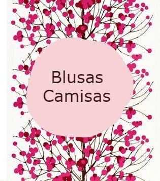 Lote BFD2202 Blusas e Camisas Usadas, 20 unidades *deBrechópráBrechó - Sul*