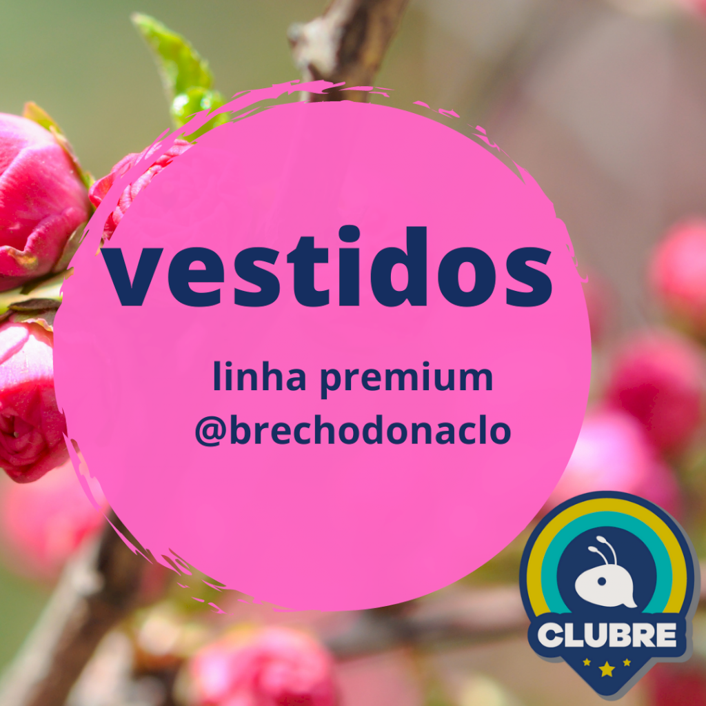Lote DC2209 - Lote com 30 Vestidos usados