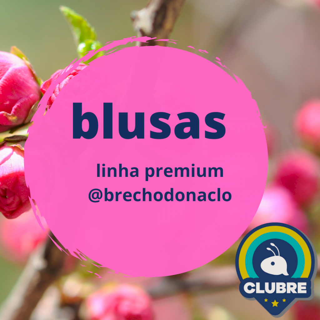 Lote DC2210 - lote com 30 blusas usadas
