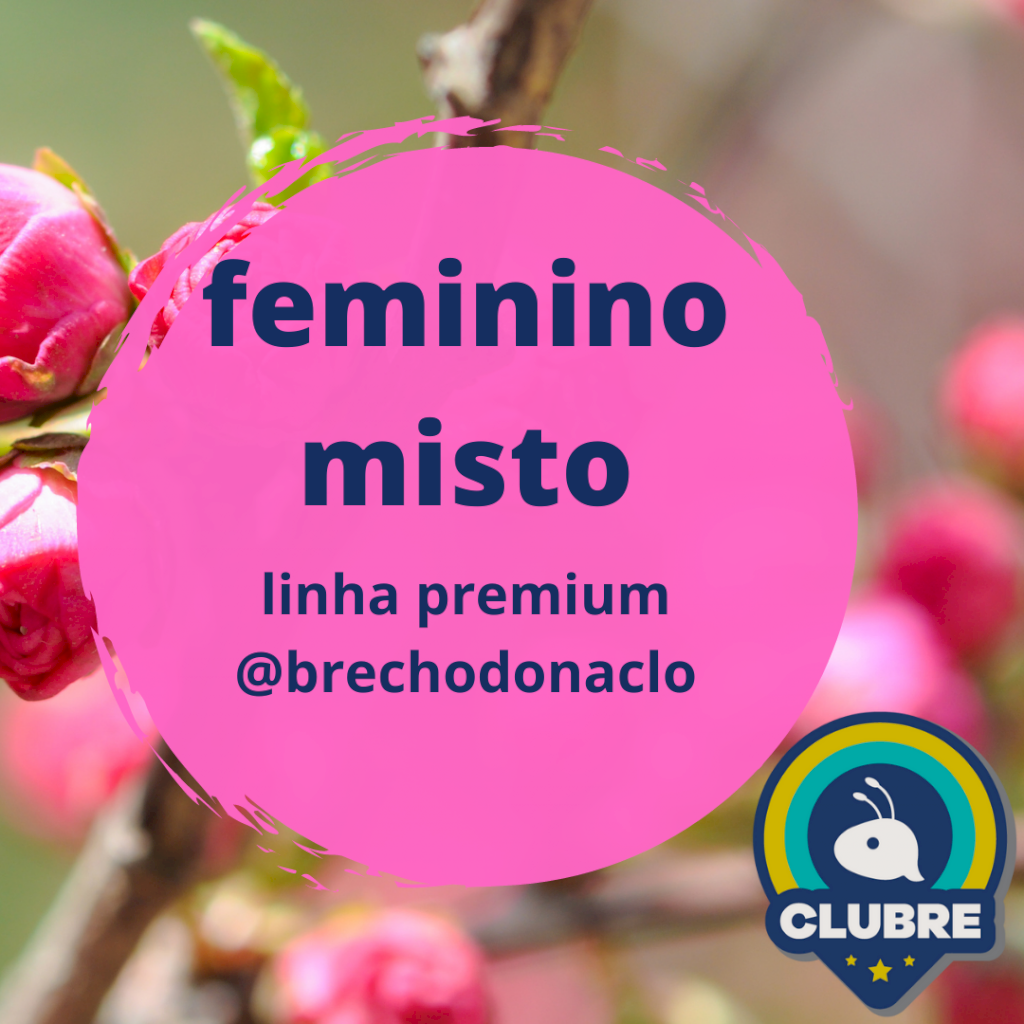 Lote DC2211 lote misto feminino, usado, 30 peças