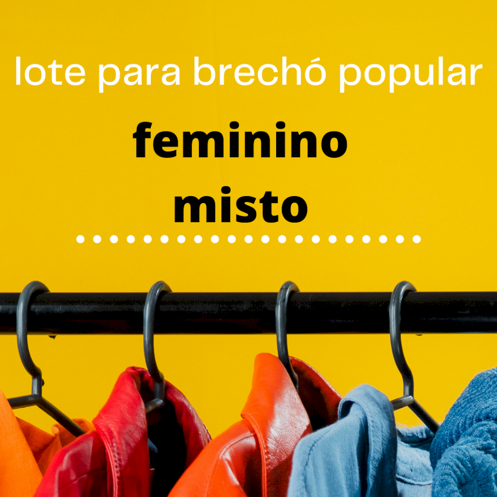 Lote MBMB2203 Feminino misto para brechó popular - 31 peças