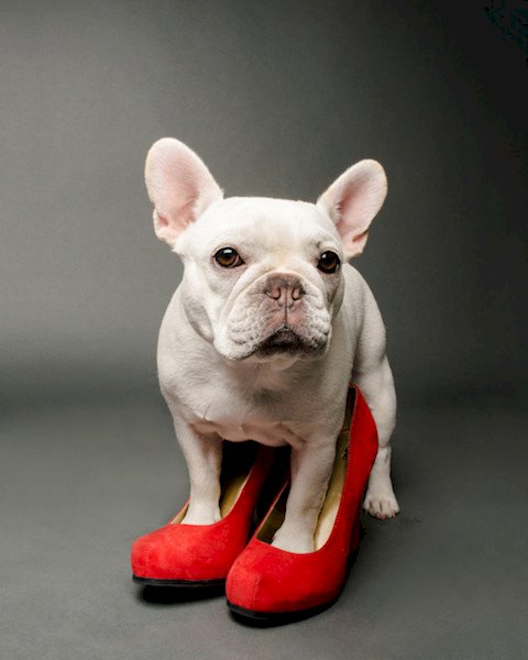 Lote ST2203 - 22 pares de calçados