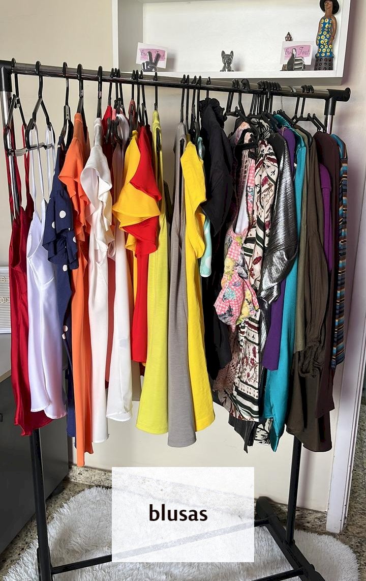 Lote TD0123 - Blusas novas e usadas - 30 peças