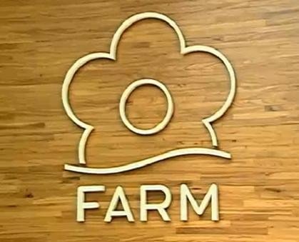 Lote PR1523 - Farm variado - 10 peças