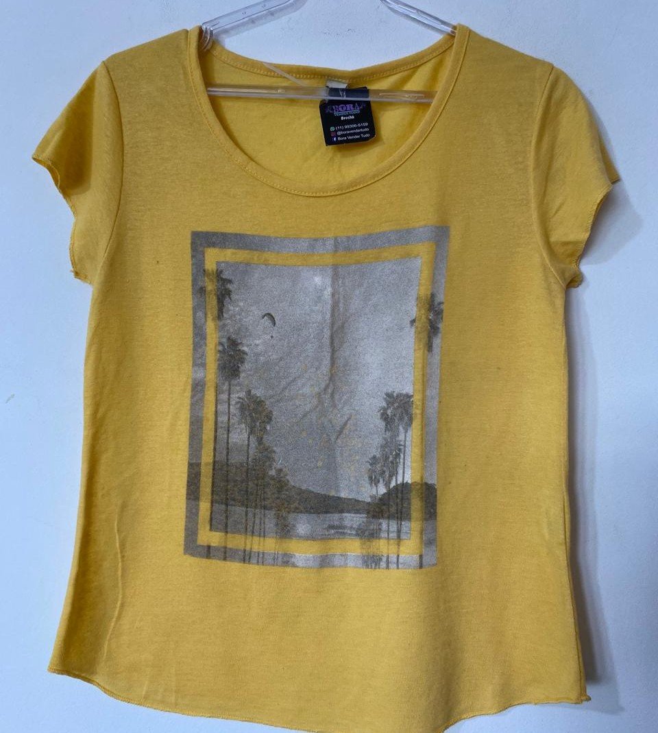 BVT0525 - Lote 12 camisetas usadas