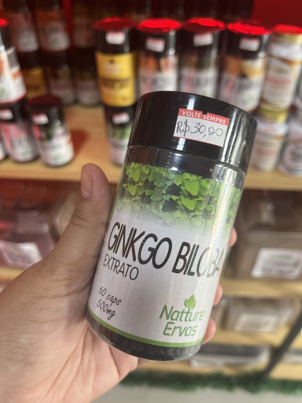 GINKGO BILOBA 