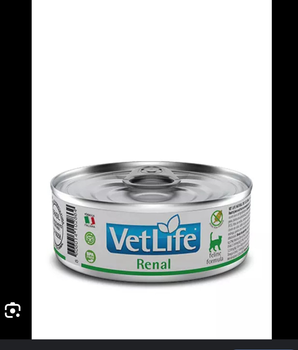 WET VET NAT FELINE RENAL 0,085KG