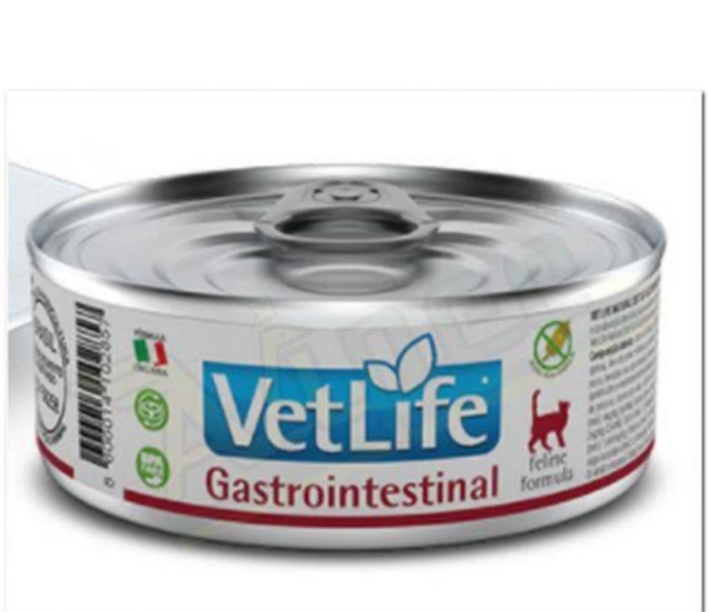 WET VET NAT FELINE GASTROINTESTINAL 0,085KG