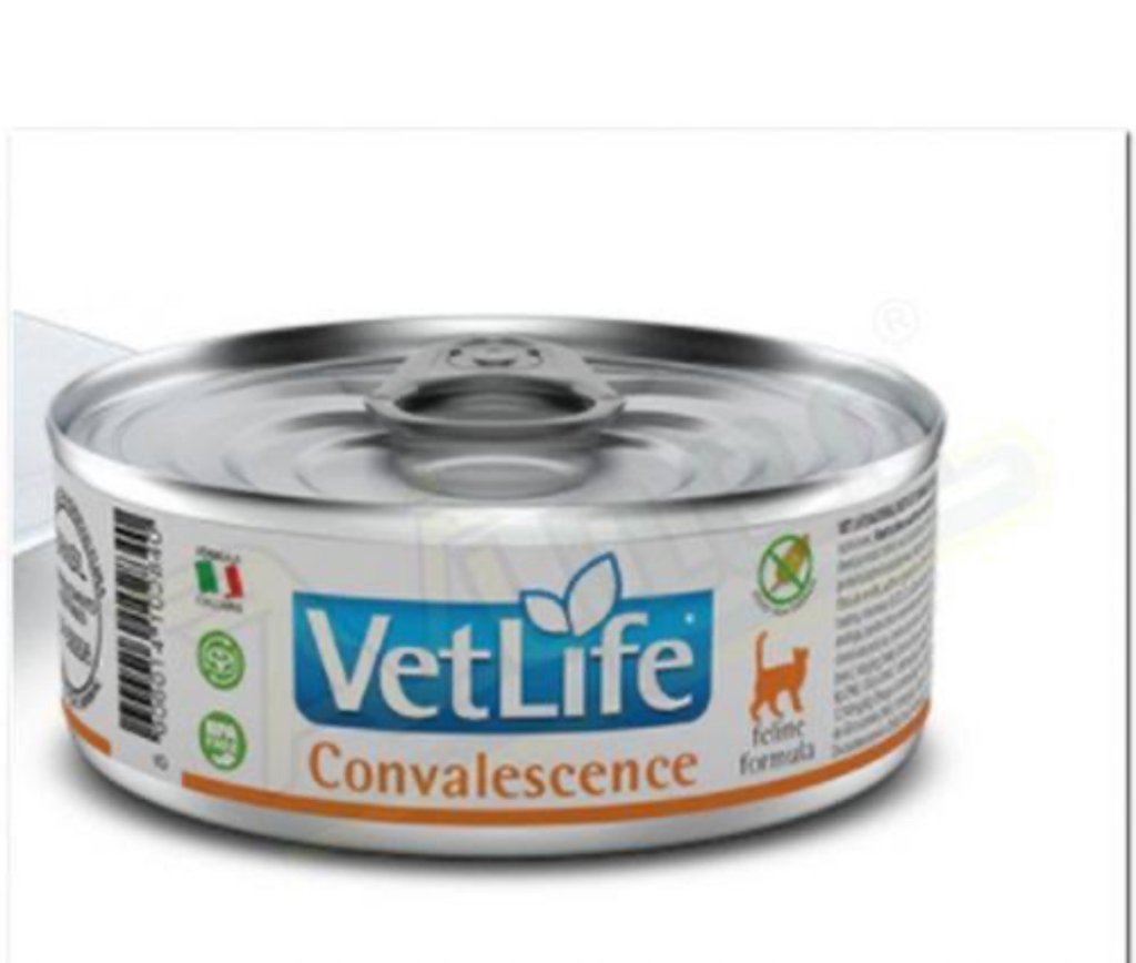 WET VET NAT FELINE CONVALESCENCE 0,085KG