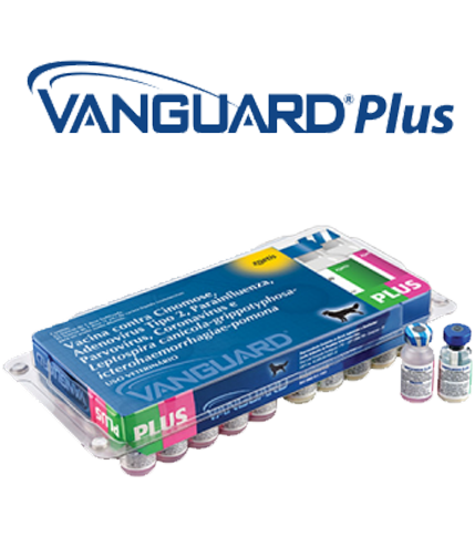 VACINA VANGUARD PLUS