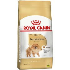 POMERANIAN ADULT 2,5 KG