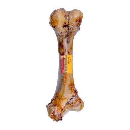 FEMUR BOVINO