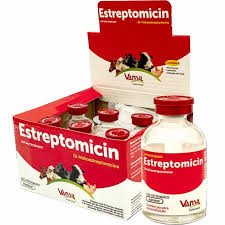 ESTREPTOMICIN INJ 20ML VANSIL(E)