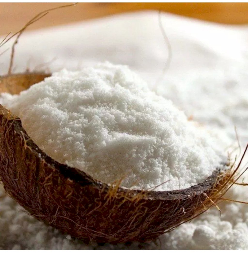 Leite de coco em pó vegano