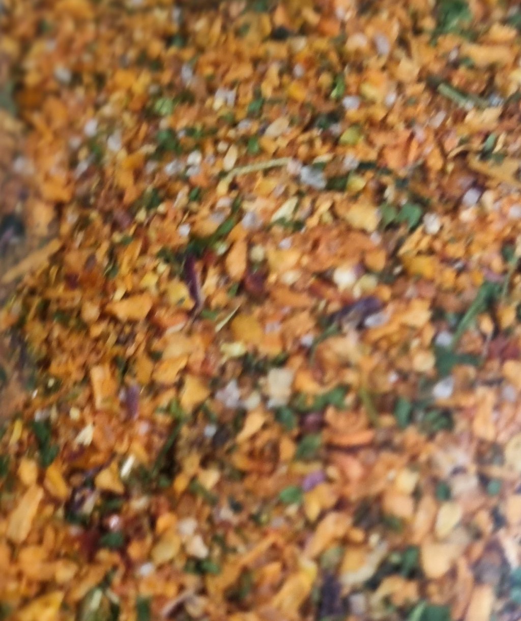 Tempero conquista sogra