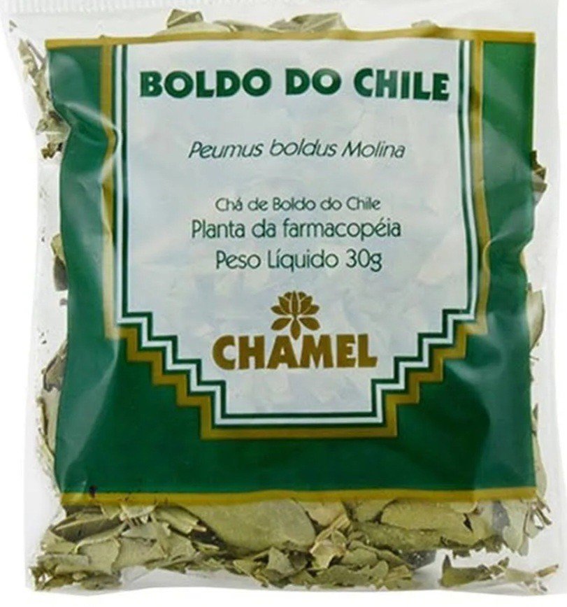 Boldo do Chile