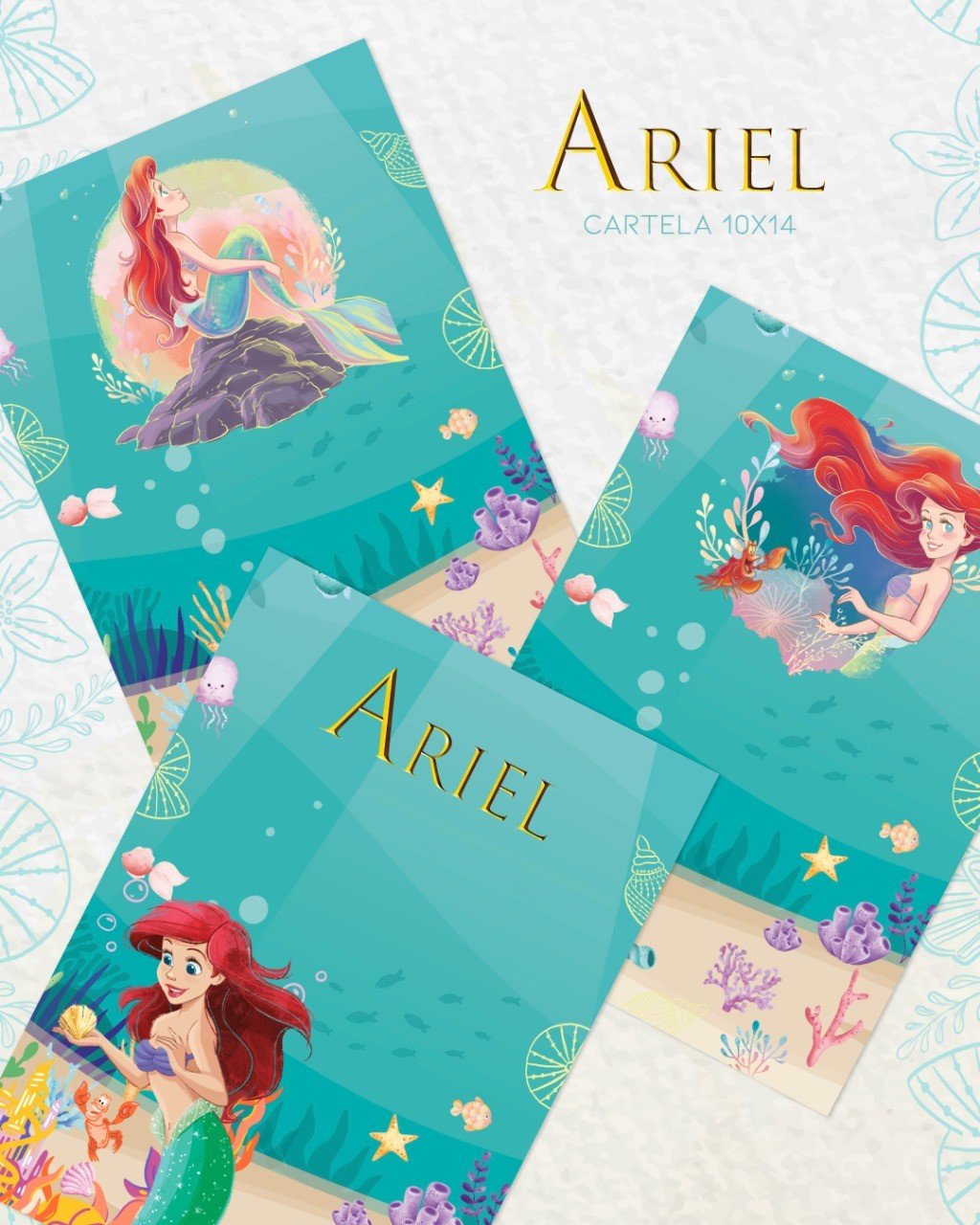 Cartela Ariel 10x14