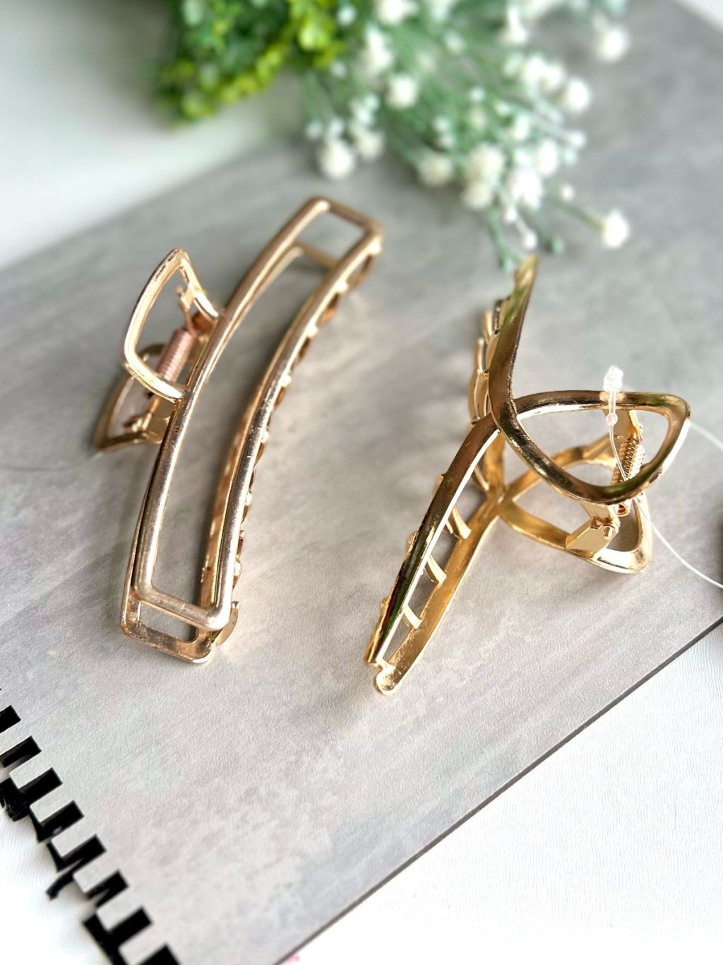 Piranha Grande Lisa Ferro 