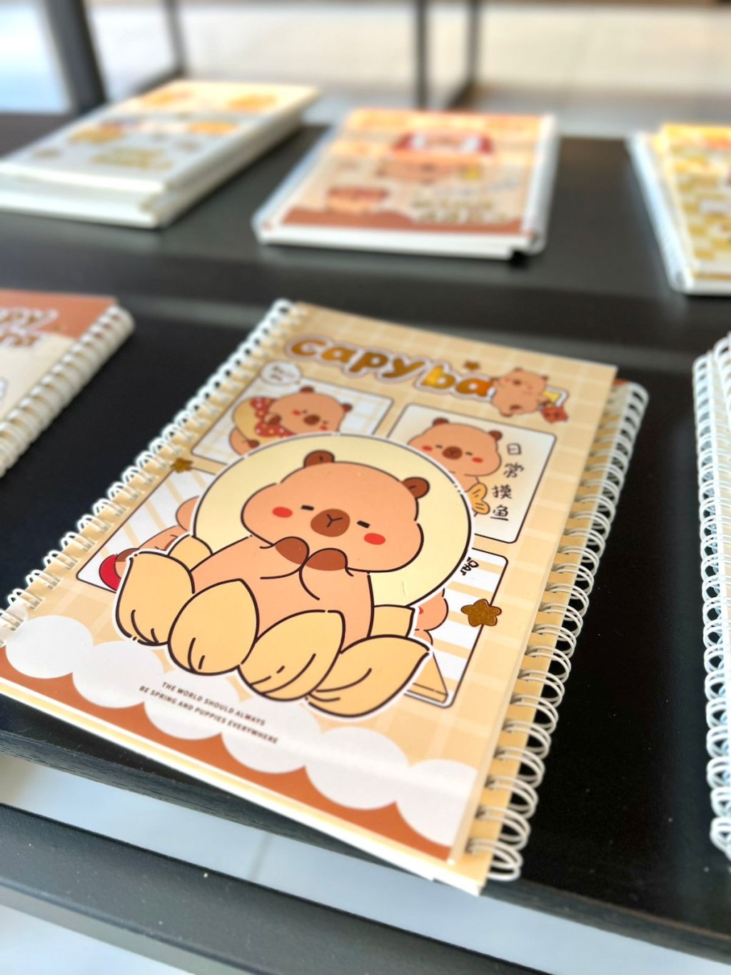 Caderno de Anotações 