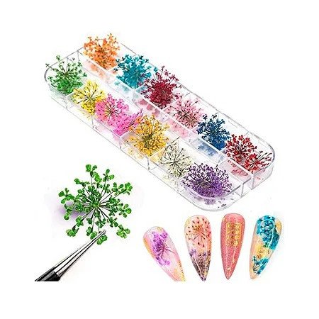 Flor Seca Decoração Unhas 
