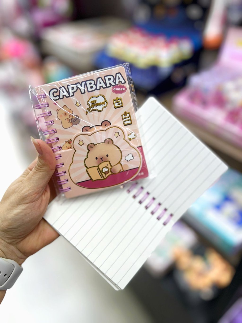 Mini Caderno De Anotações