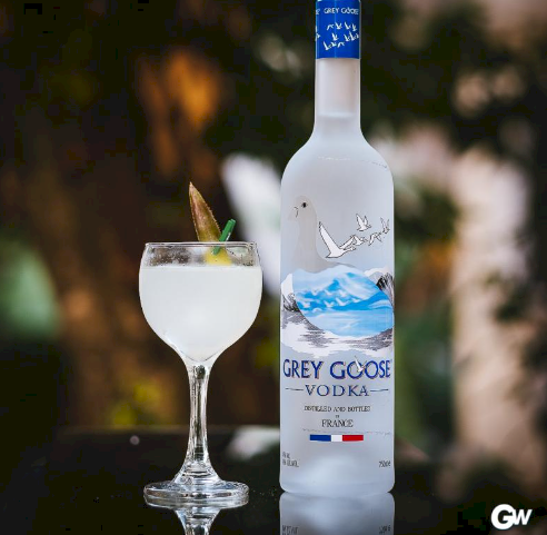VODKA PREMIUM GREY GOOSE 750ML 