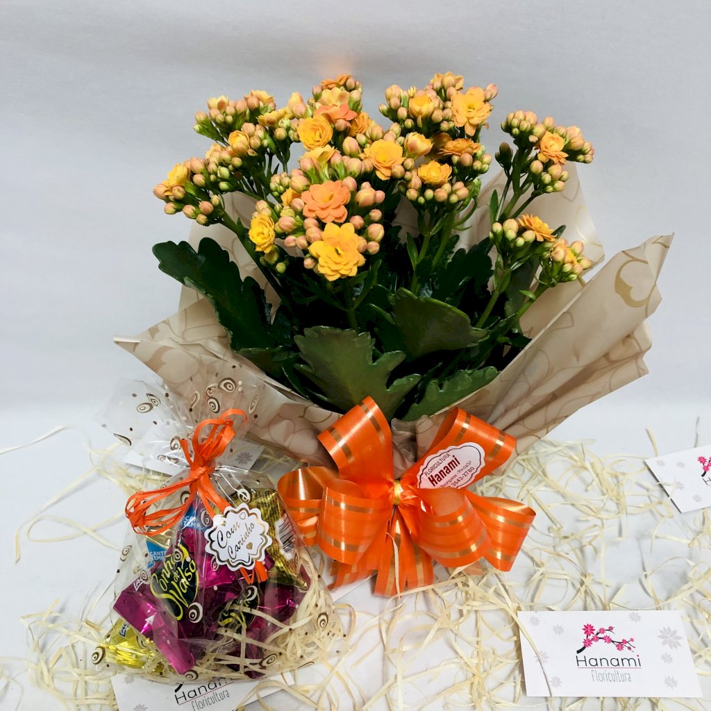 Kit Calandiva & Chocolates