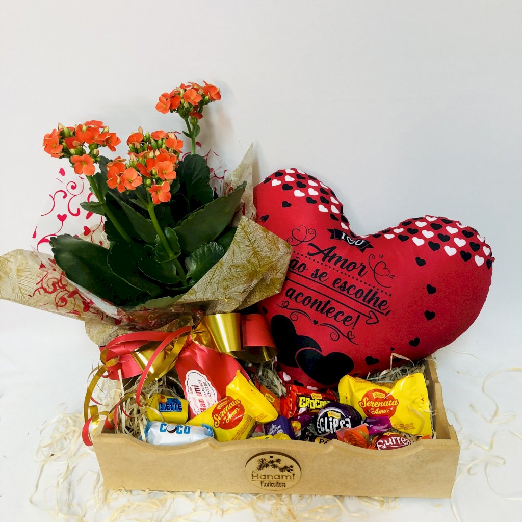 (ESGOTADO) Box - Florata & Conforto