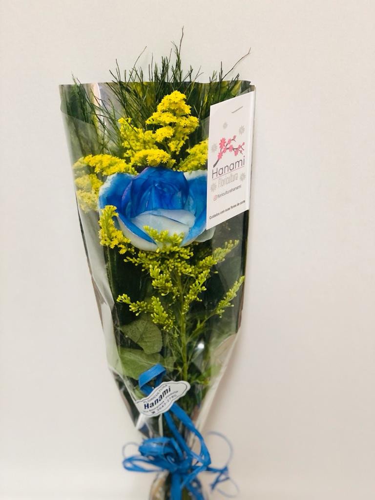 Arranjo 1 Rosa Azul