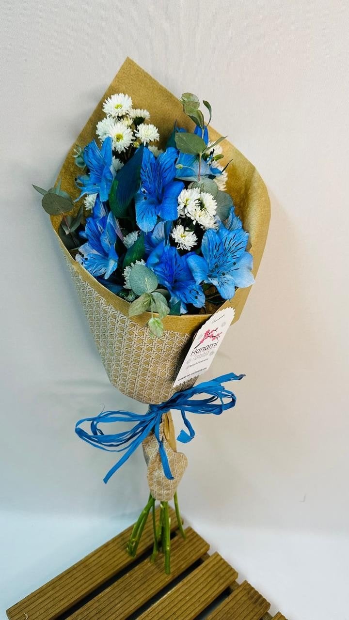 Mimo Blue