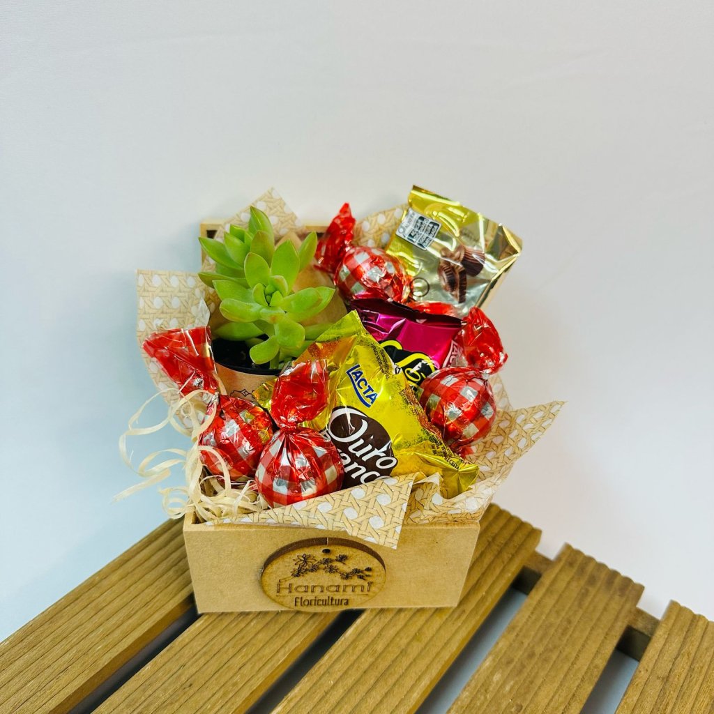 Baby Box - Suculenta