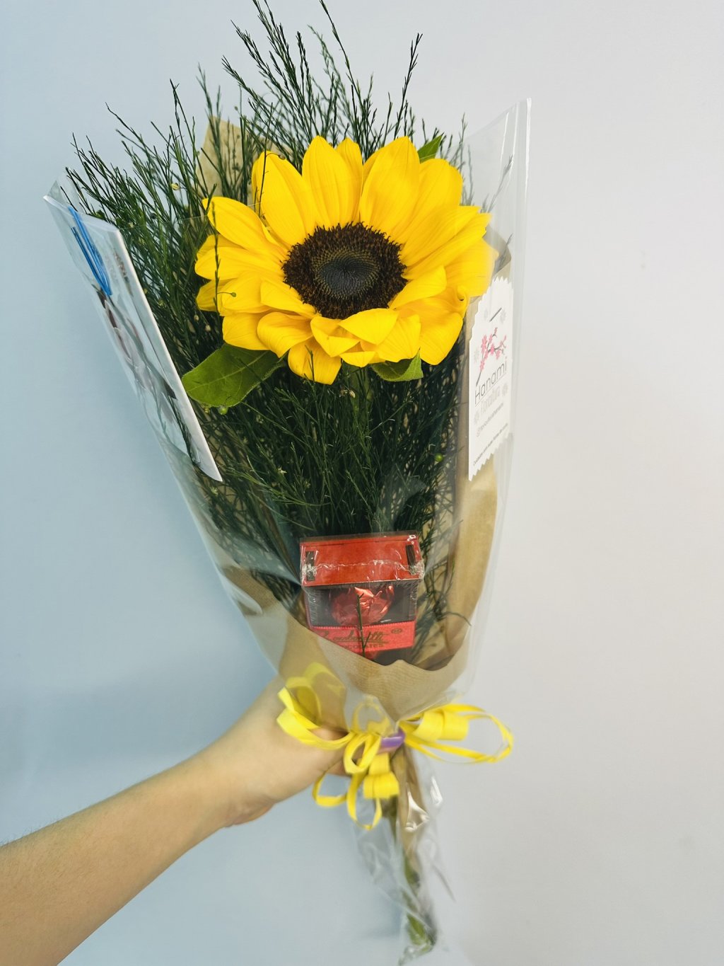 Girassol Individual & Glamour 3Un