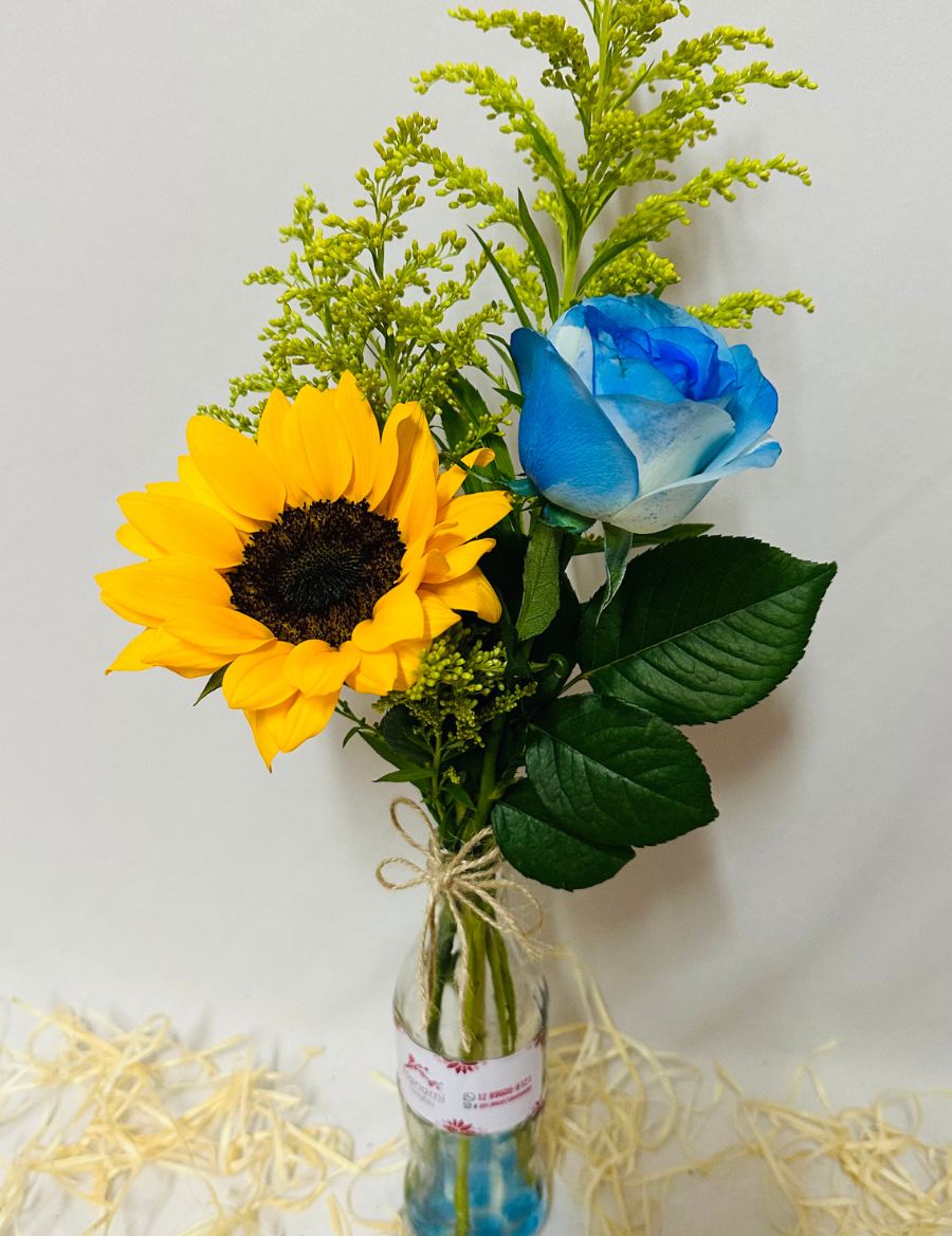 Mini-Arranjo em Garrafa